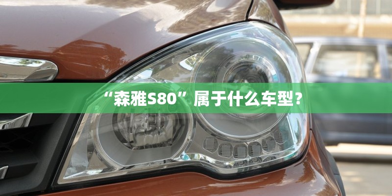 “森雅S80”属于什么车型？