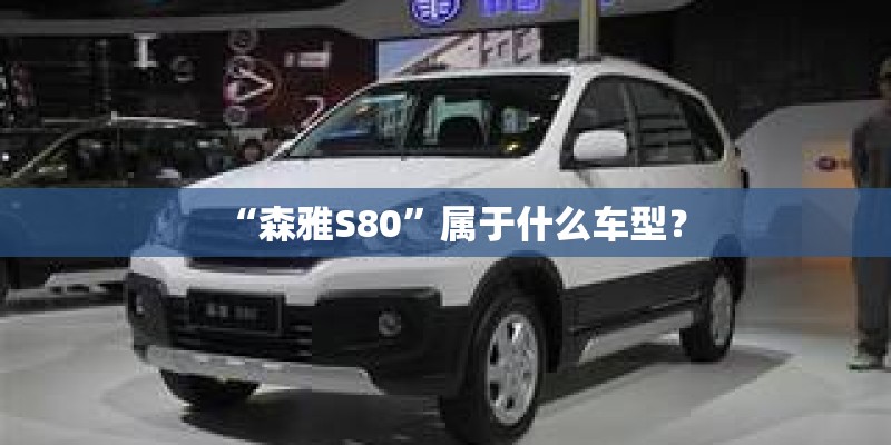 “森雅S80”属于什么车型？