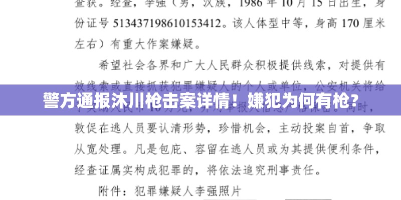 警方通报沐川枪击案详情！嫌犯为何有枪？