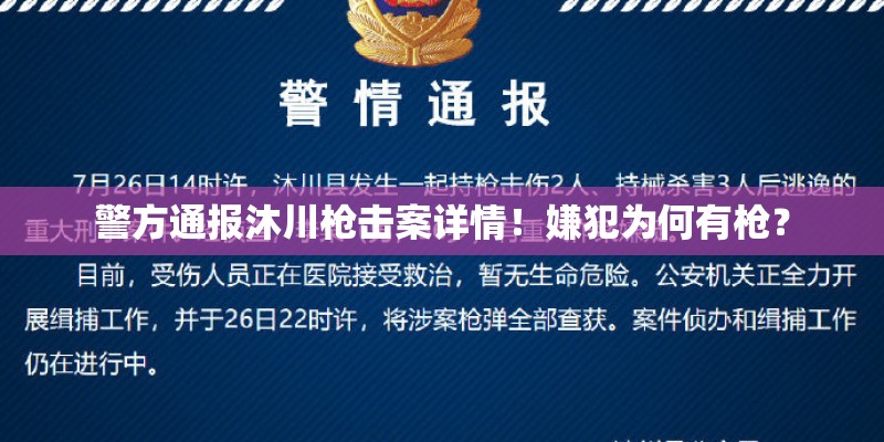 警方通报沐川枪击案详情！嫌犯为何有枪？