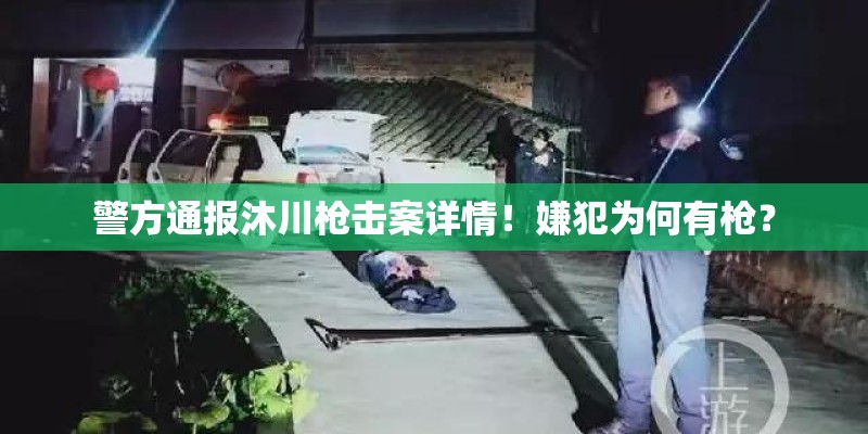 警方通报沐川枪击案详情！嫌犯为何有枪？
