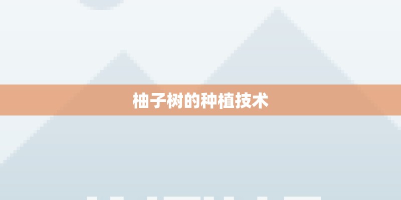柚子树的种植技术