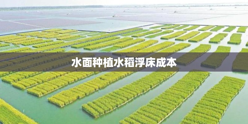 水面种植水稻浮床成本