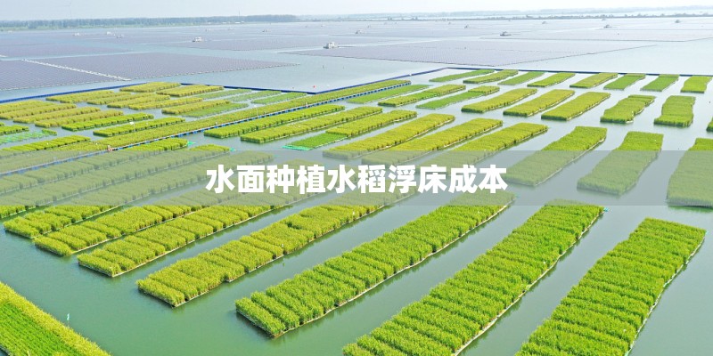 水面种植水稻浮床成本