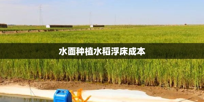 水面种植水稻浮床成本