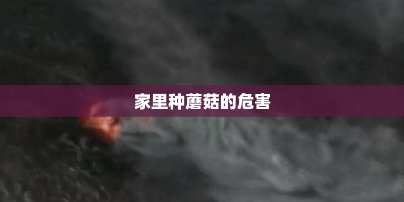 家里种蘑菇的危害