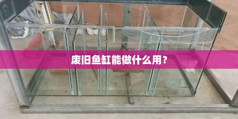 废旧鱼缸能做什么用？