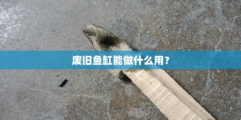 废旧鱼缸能做什么用？