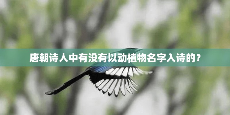 唐朝诗人中有没有以动植物名字入诗的？