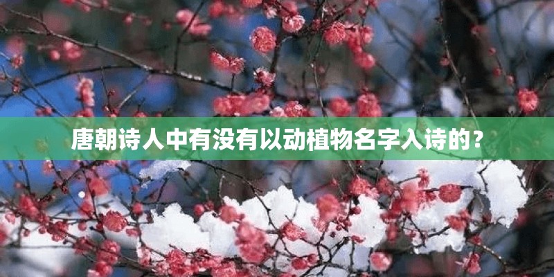 唐朝诗人中有没有以动植物名字入诗的？