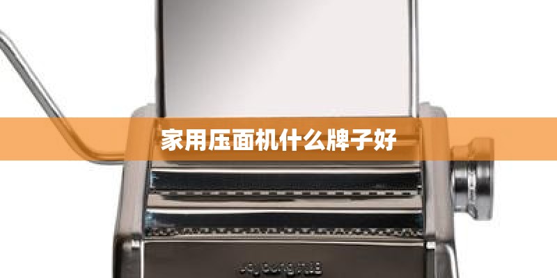 家用压面机什么牌子好