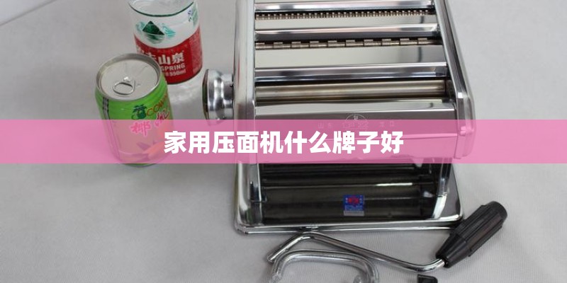 家用压面机什么牌子好