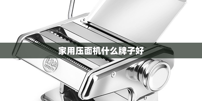 家用压面机什么牌子好