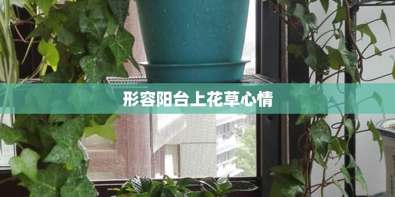 培育龙眼高压苗有哪些技术要点？
