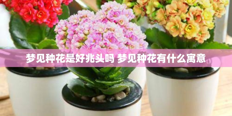 梦见种花是好兆头吗 梦见种花有什么寓意 梦见种花是好兆头吗 梦见种花有什么寓意